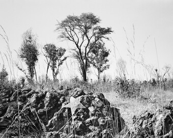 Jo Ractliffe (*1961) Unmarked set of graves on the outskirts of Cuito Cuanavale (Aus der Serie: As Terras do Fim do Mundo), 2009, © Jo Ractliffe