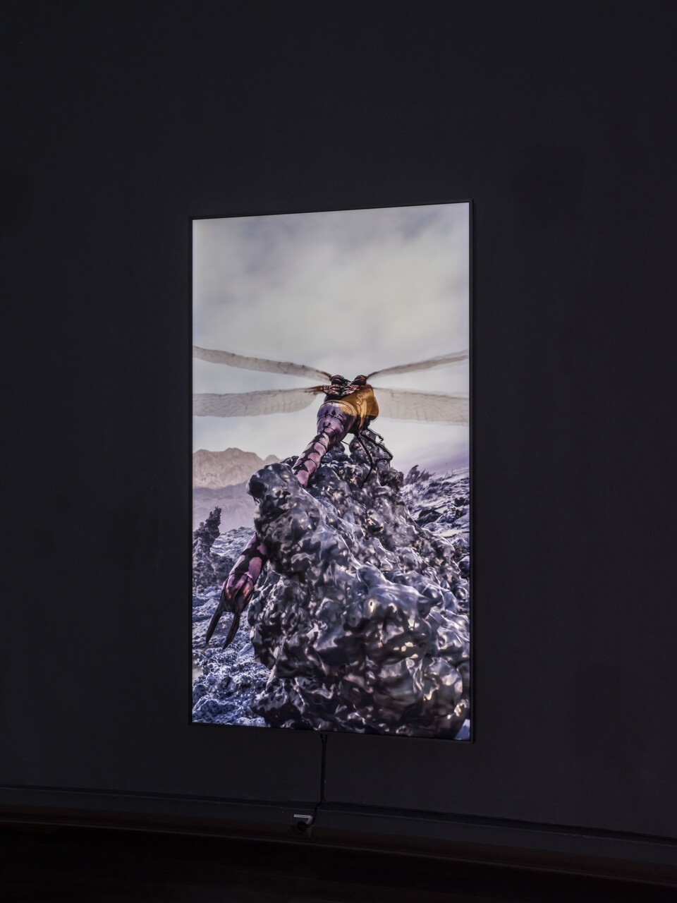 Installationsansicht der Ausstellung The Ephemeral Lake – Eine digitale Installation von Jakob Kudsk Steensen, 12. April bis 27. Oktober 2024, Hamburger Kunsthalle  © Courtesy the artist  © Hamburger Kunsthalle,  Foto: Christoph Irrgang Installationsansicht der Ausstellung The Ephemeral Lake – Eine digitale Installation von Jakob Kudsk Steensen, 12. April bis 27. Oktober 2024, Hamburger Kunsthalle  © Courtesy the artist  © Hamburger Kunsthalle,  Foto: Christoph Irrgang