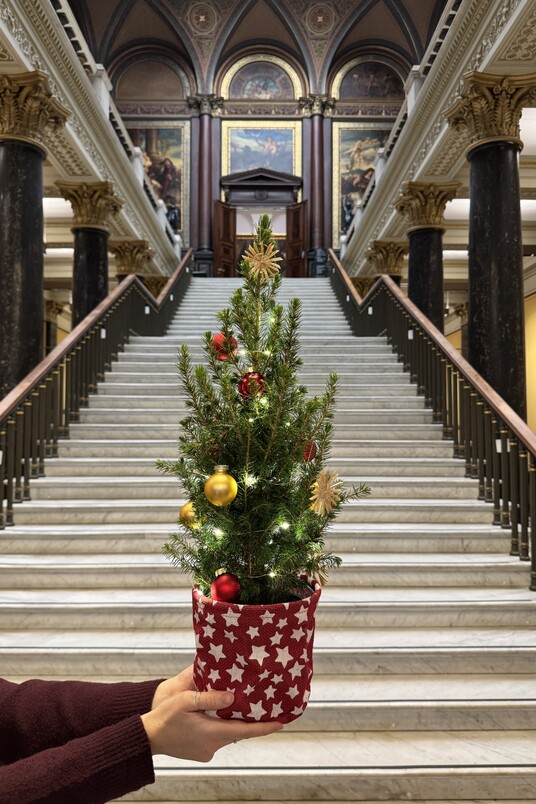 Kleiner Weihnachtsbaum im Altbautreppenhaus
