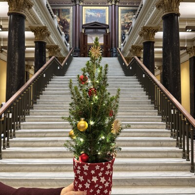 Kleiner Weihnachtsbaum im Altbautreppenhaus