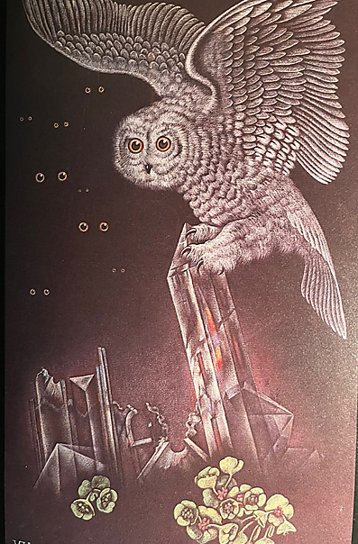 Valentine Hugo (1887 -1968), La Vérité tomberait du ciel sous la forme d‘un harfang, Pastell und Farbkreide auf schwarzem Papier, 1932, Musée d'art et d'histoire Paul Eluard, Saint-Denis